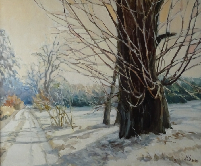 In the Birch Alley, oil, 50x60, Małgorzata Domańska