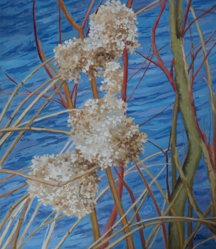 „Zimowe hortensje”, olej, 70x60, Małgorzata Domańska